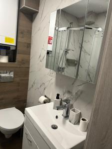a bathroom with a sink and a toilet and a mirror at Loft&Cozy in Zgorzelec +6 photos