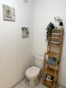 La salle de bains est pourvue de toilettes et d'une étagère. dans l'établissement Joli appartement à Andernos les bains , 2 ou 4 pers , avec terrasse et parking, à Andernos-les-Bains 9 autres photos