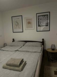 Postel nebo postele na pokoji v ubytování Studio Apartman Azra