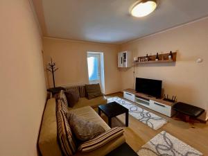 a living room with a couch and a television at City Nest by RentALL in Gheorgheni