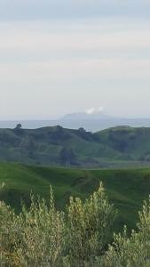 a green field with hills in the distance at 9 Senses Wellness Retreat in Ohope Beach