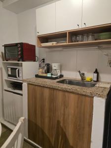 eine Küche mit Spüle und Mikrowelle in der Unterkunft El Quebracho, Suites y Apartments in Corrientes + 1 Foto
