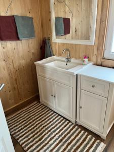 a bathroom with a white sink and a mirror at Gemütliches Mobilheim in Gager auf Mönchgut in Gager