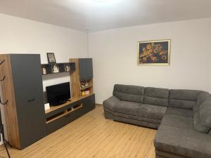 フネドアラにあるModernul apartament de lângă Castelのギャラリーの写真