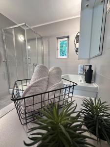 Fotografie z fotogalerie ubytování Starigrad Paklenica-Josipa apartmani v destinaci Starigrad-Paklenica