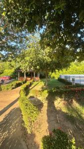 Κήπος έξω από το Habitacion Brisas Ricaurte +7 φωτογραφίες