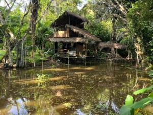 a house in the middle of a body of water at Jungle Cabin - Satori Natural in Puerto Nariño