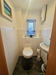 a small bathroom with a toilet and a sink at FeWo altes Pfarrhaus in Erndtebrück