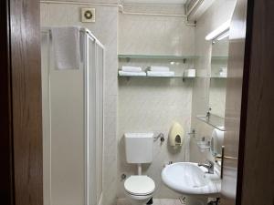 克拉列沃Hotel Belvedere Casa的带马桶和水槽的小浴室
