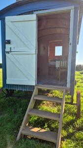 Saint IshmaelsCoast path camping的草地上有一架梯子的户外厕所