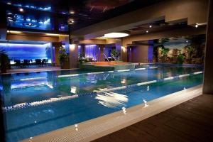 une grande piscine dans un bâtiment avec des canards dedans dans l'établissement Elephant Vibe RIN Grand Hotel, à Bucarest