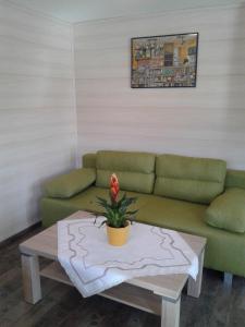 ein Wohnzimmer mit einem Sofa und einem Couchtisch in der Unterkunft Ferienwohnung Angela in Steindorf am Ossiacher See