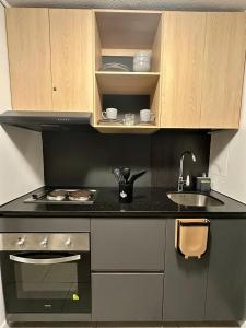 a kitchen with a stove and a sink at Estudio cerca del Movistar Arena in Santiago