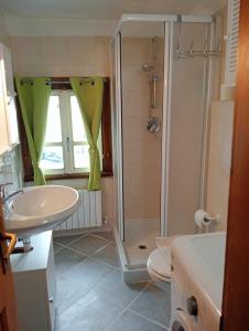 a bathroom with a shower and a sink and a toilet at canton 520 camera matrimoniale e appartamento self check in in Livigno