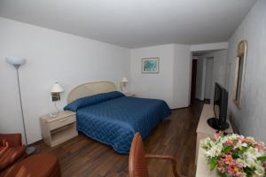 a bedroom with a blue bed and a television at Hotel San Francisco in Toluca