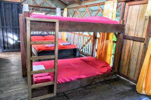 Billede fra billedgalleriet på Paraíso Ayahuasca Hotel & Tours i Puerto Nariño + 37 billeder