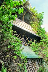 Billede fra billedgalleriet på Paraíso Ayahuasca Hotel & Tours i Puerto Nariño