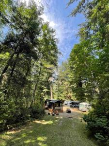 een camping met een tent en veel bomen bij The Black Bear Cabin in Klamath
