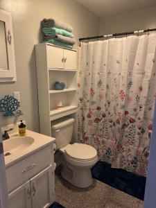 a bathroom with a toilet and a shower curtain at Countryside Comfort in Willseyville +18 photos