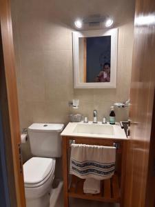 Un baño con inodoro, lavabo y espejo. en Departamento Austral II, en Ushuaia 13 fotos más