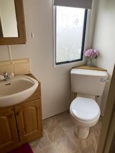 a bathroom with a toilet and a sink and a window at Lovely 2 bedroomed Caravan on Edwards Towyn in Kinmel Bay +6 photos