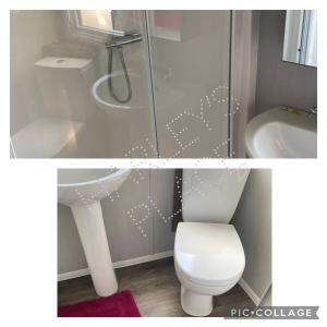 ein Badezimmer mit Dusche, Toilette und Waschbecken in der Unterkunft 3 bedroomed CH Caravan on Presthaven Beach Resort in Talacre + 1 Foto