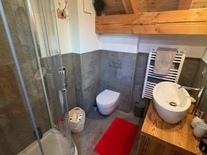 a bathroom with a shower and a toilet and a sink at Duplex Prestige 9 Pers - Terrasse Sud - Face aux Pistes - Animaux Acceptés - Parking - FR-1-445-220 in Montgenèvre +9 photos