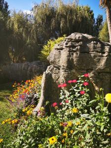 a garden with flowers and a large rock at Karstaway Haven in Takaka +15 photos