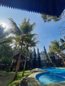 a palm tree next to a swimming pool at de'Rumah Rindu Alam in Batu