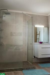 une douche en verre dans une salle de bain avec un lavabo dans l'établissement Moutte - Superbe appartement pour deux, à Fort-de-France