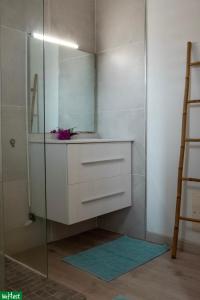 une salle de bain avec une douche avec un lavabo et un miroir dans l'établissement Moutte - Superbe appartement pour deux, à Fort-de-France 4 autres photos