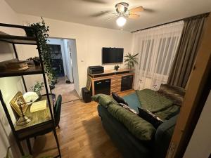 a living room with a green couch and a television at Frania in Zgórsko