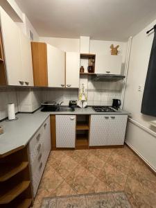 a kitchen with white cabinets and a counter top at Frania in Zgórsko +26 photos