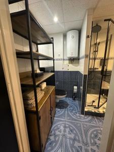 a room with a bathroom with a toilet and a sink at Frania in Zgórsko