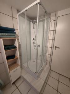 prysznic ze szklanymi drzwiami w łazience w obiekcie Ruhiges Apartment nahe Innenstadt und Kliniken w mieście Erlangen