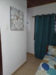 a bedroom with a bed and a blue shower curtain at Adinam's Beach Retreat in Nyanyanu