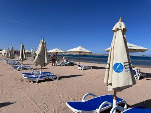 a row of chairs and umbrellas on a beach at Studio with Pool View C106 -Al Saraya Sahl Hasheesh by Peaks in Hurghada