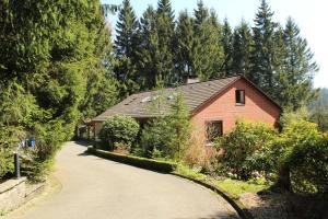 a house on a road next to a forest at Waldhaus Hahnenklee in Hahnenklee-Bockswiese