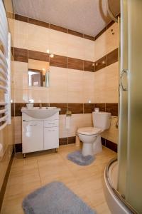 a bathroom with a toilet and a sink and a mirror at Domek Na Brzysku Lipnica Wielka in Lipnica Wielka +45 photos