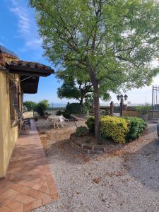 a tree in a yard next to a house at Casa Vacanze Villa Marisa in San Costanzo