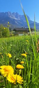Un paisaje natural cerca de la casa vacacional