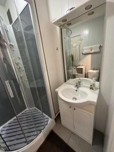 une salle de bain avec douche et lavabo dans l'établissement studio vieille ville, à Nancy
