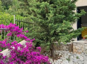 un pino in un giardino con fiori viola di Beachfront Luxury Villa with Private Pool and Stunning Sea Views a Korčula