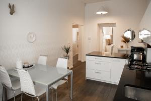 Kuchyňa alebo kuchynka v ubytovaní Luxury Modern Designed Oldtown Apartment