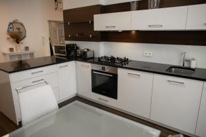 Kuchyňa alebo kuchynka v ubytovaní Luxury Modern Designed Oldtown Apartment
