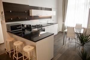 Kuchyňa alebo kuchynka v ubytovaní Luxury Modern Designed Oldtown Apartment