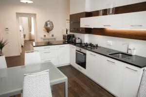 Kuchyňa alebo kuchynka v ubytovaní Luxury Modern Designed Oldtown Apartment