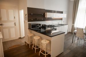 Kuchyňa alebo kuchynka v ubytovaní Luxury Modern Designed Oldtown Apartment