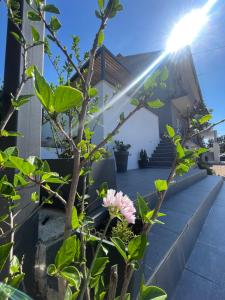 Zahrada ubytování Starigrad Paklenica-Josipa apartmani