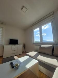 a living room with a large window and a couch at Apartman Pale - Biljana in Pale